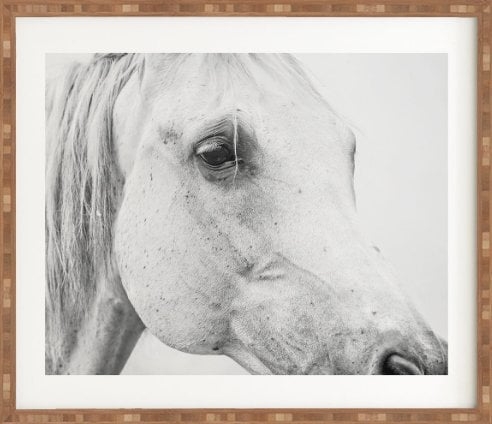 HORSE EYE Framed Wall Art - Image 0