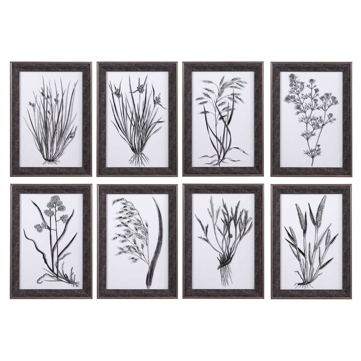 Classic Botany Framed Prints, Set of 8 - Image 0