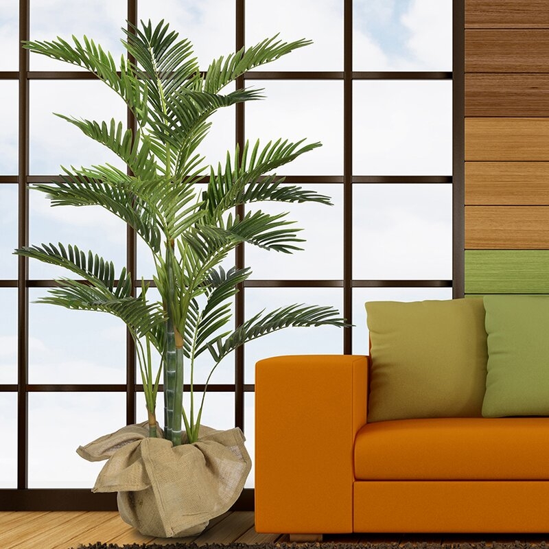 Palm Tree Plant - Image 5