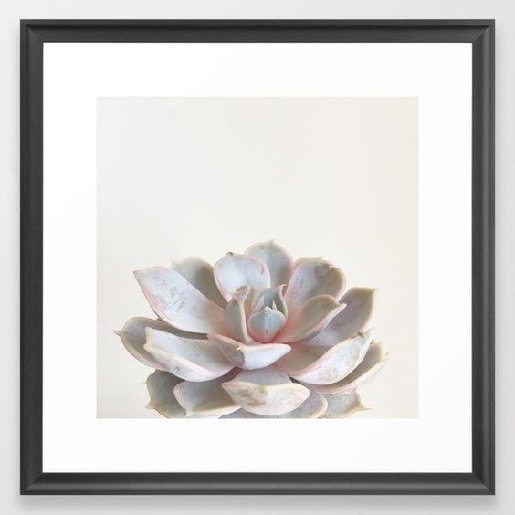 Pink Succulent Framed Art Print 12 x 12" - Image 0