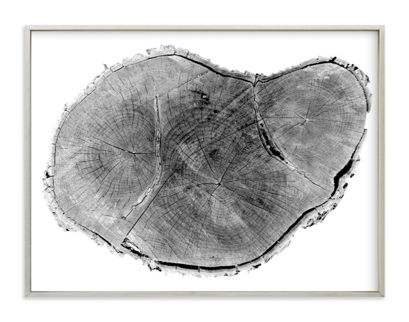Tree Rings Pt. 1 - 40" x 30", champagne silver - Image 0