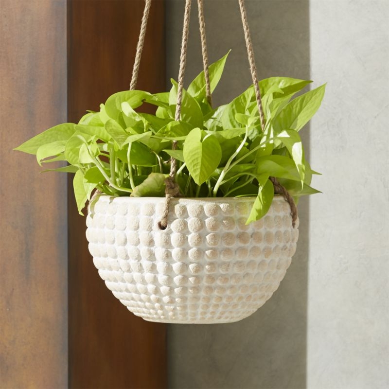 Zola Small Hanging Planter - Image 4