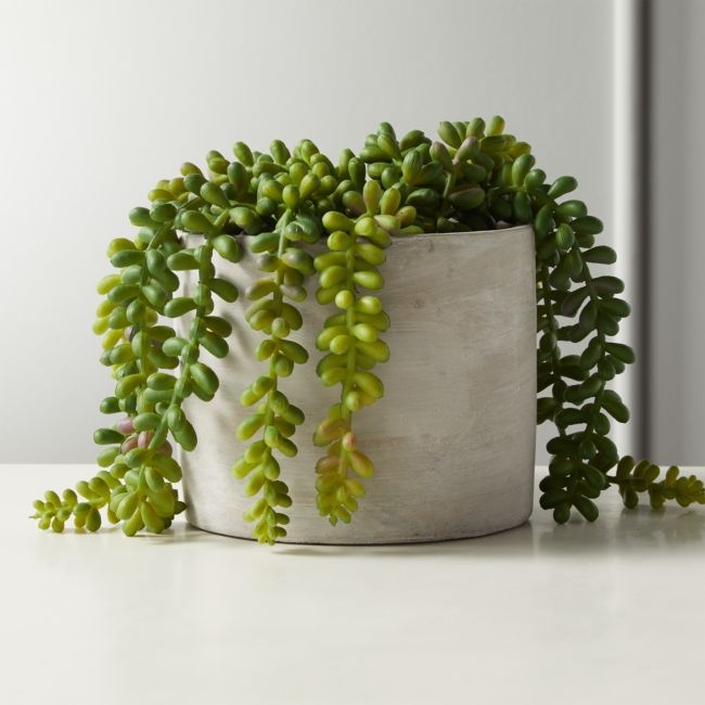 Faux Potted Burro's Tail - Image 0