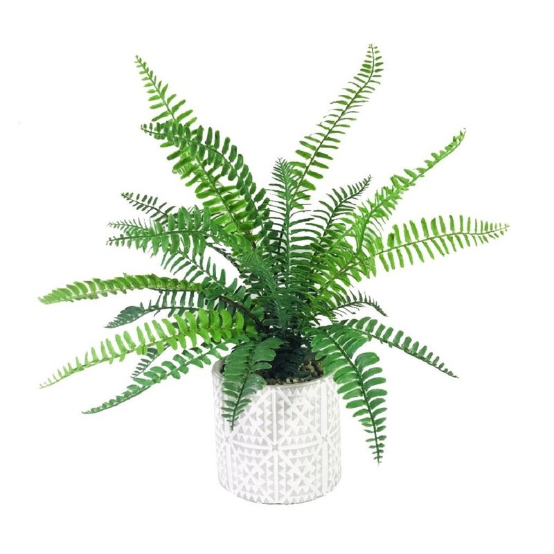 11.25" Artificial Fern Plant in Pot - Image 0