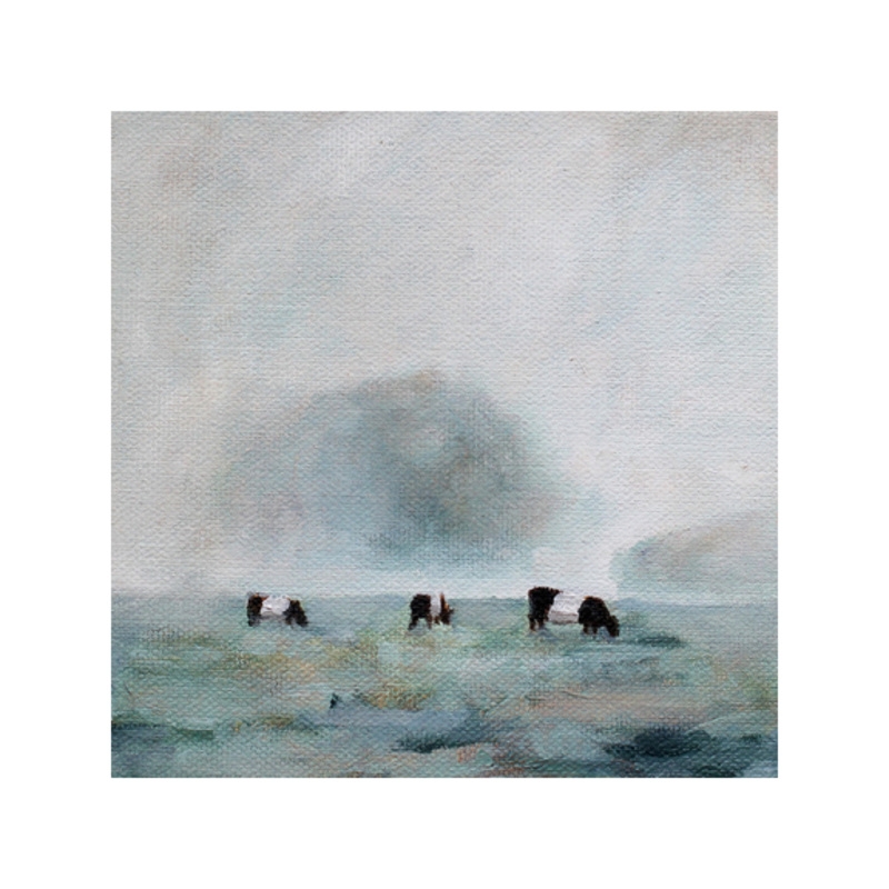 Cows in Fog,, 8x8 Print - Image 0