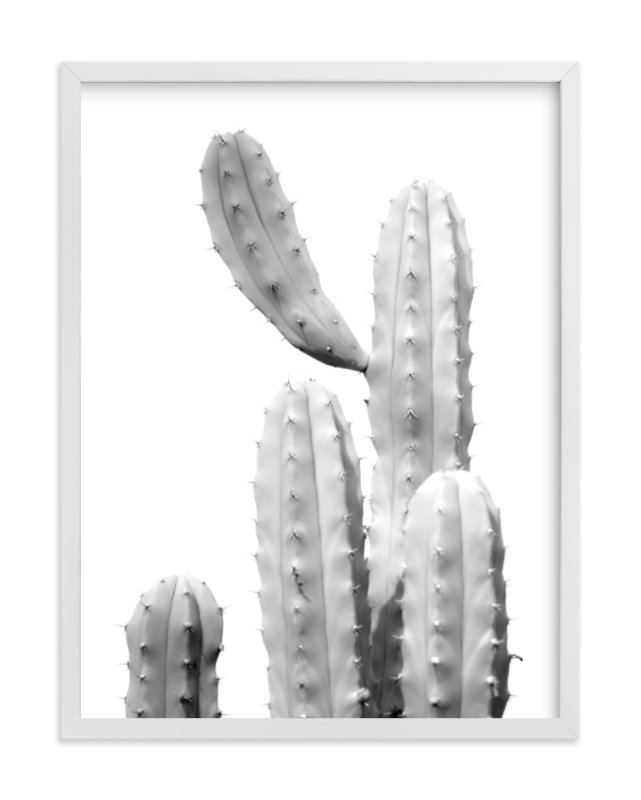 Moorten Cactus Study 1 - Image 0