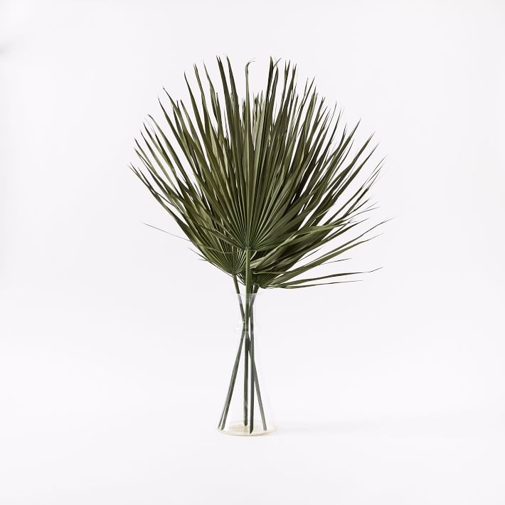Dried Green Palm Leaf Stem Bunch - Image 0