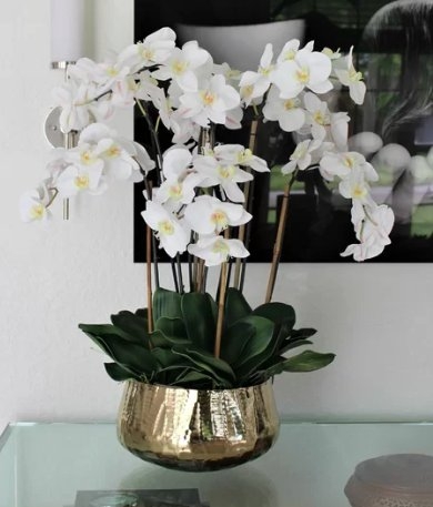 Phalaenopsis Orchids Floral Arrangement and Centerpiece in Planter - Image 0