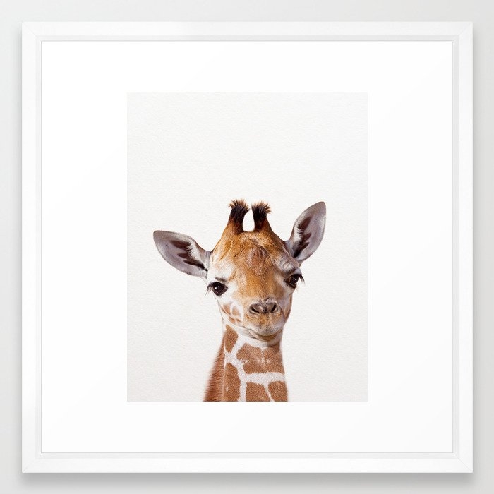 Baby Giraffe, Baby Animal Art Prints By Synplus Framed Art Print - Image 0