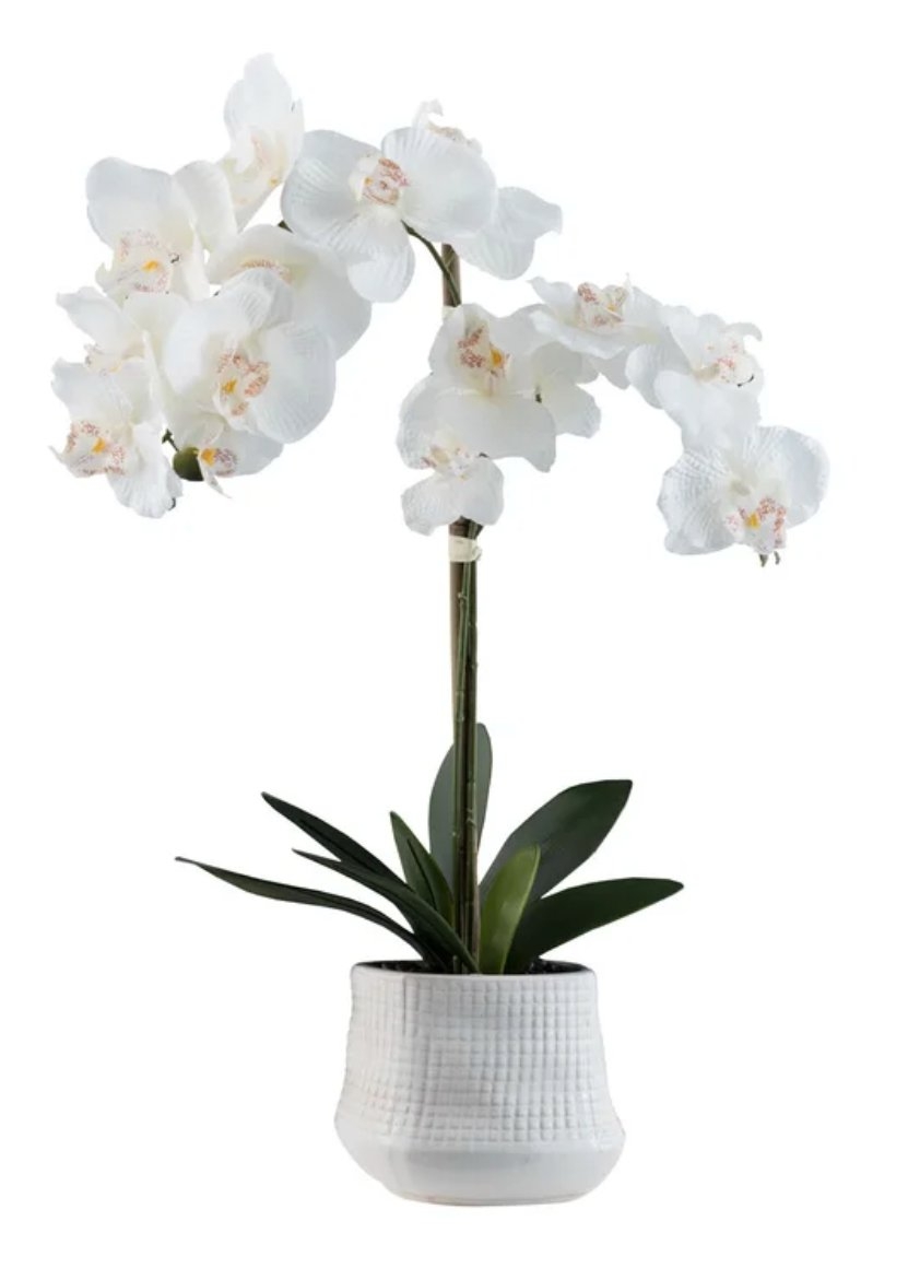 Orchid Floral Centerpiece in Pot - Image 0