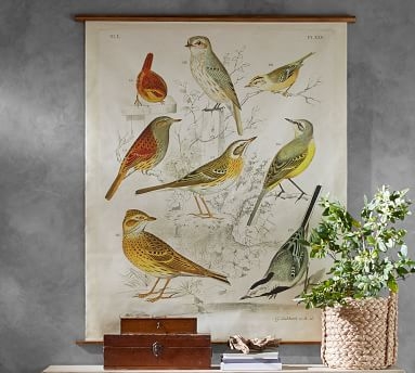 Vintage Ornithology Collection Educational Chart, Small, 33 x 36" - Image 2