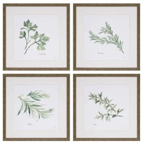Herbs by Paschke - 4 Piece Picture Frame Graphic Art Print Set on Paper - Image 0