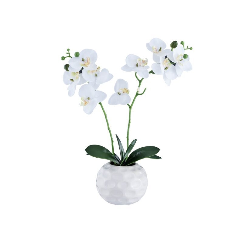 Orchid Floral Centerpiece in Pot - Image 0