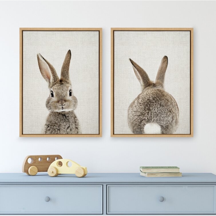 'Bunny Portrait on Linen and Bunny Tail on Linen' by Amy Peterson - 2 Piece Floater Frame Photograph Print on Canvas - Image 1