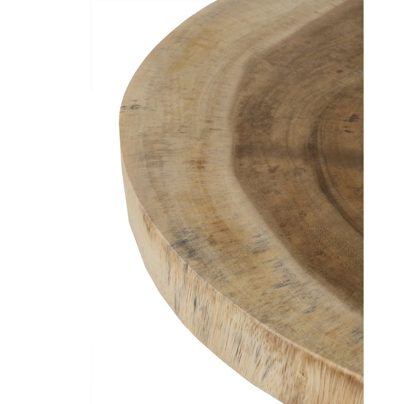 Stilwell Solid Wood Tree Stump End Table - Image 1