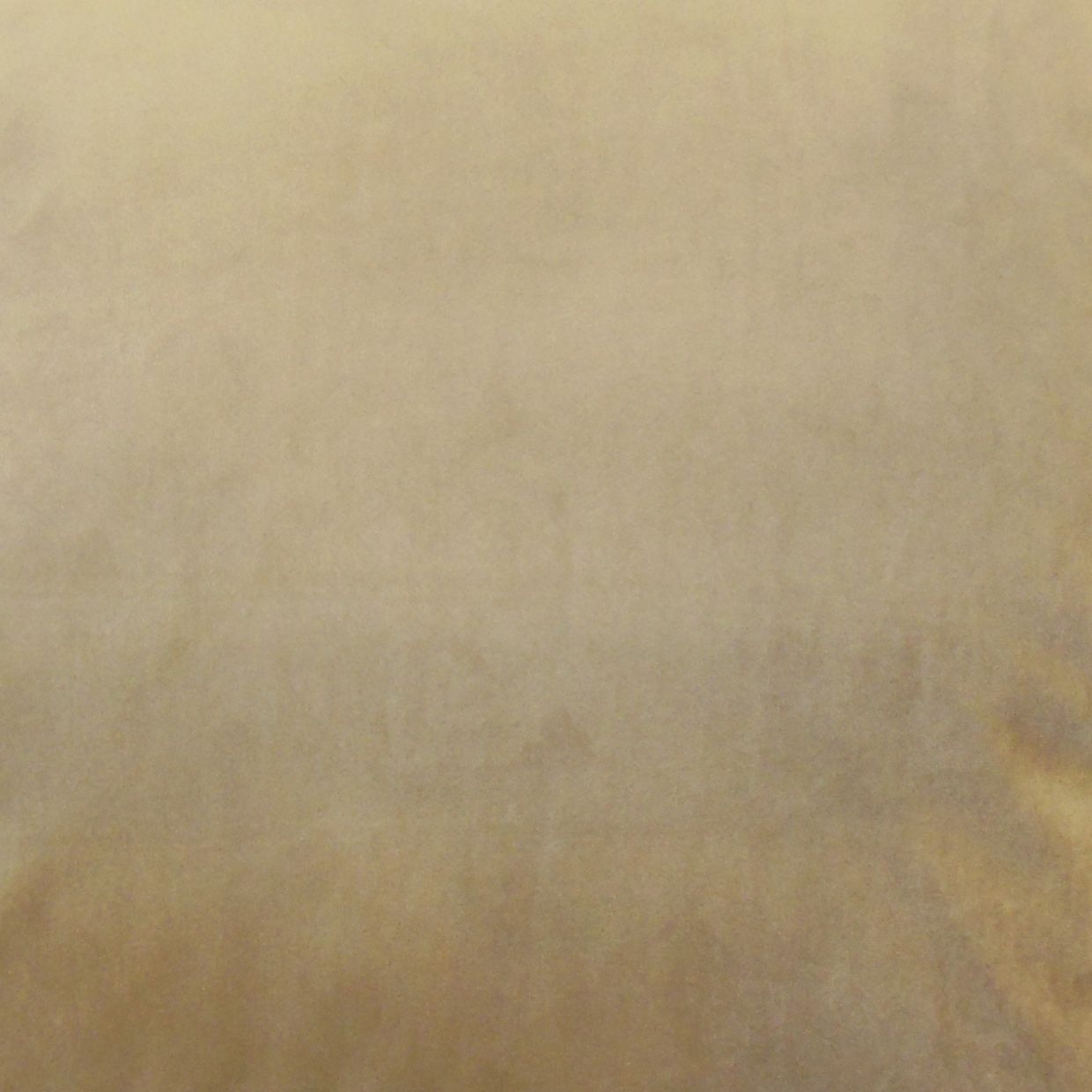 Classic Velvet Pillow, Latte, 20" x 20" - Image 1