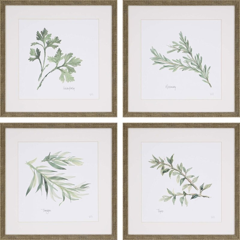 Herbs' 4 Piece Framed Graphic Art Print Set - Image 0