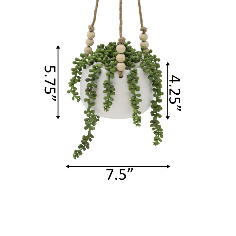 String Ivy Plant in Basket - Image 2