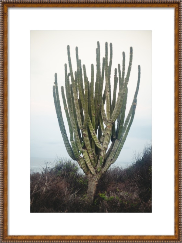 Cactus 20x28 - Image 0