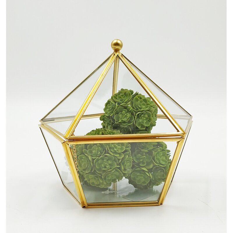 Glass Terrarium Jewelry Decorative Box - Image 0