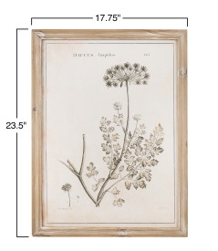 Vintage Reproduction Botanical Print Wood Framed Wall Art (Set of 4 Styles) - Image 2