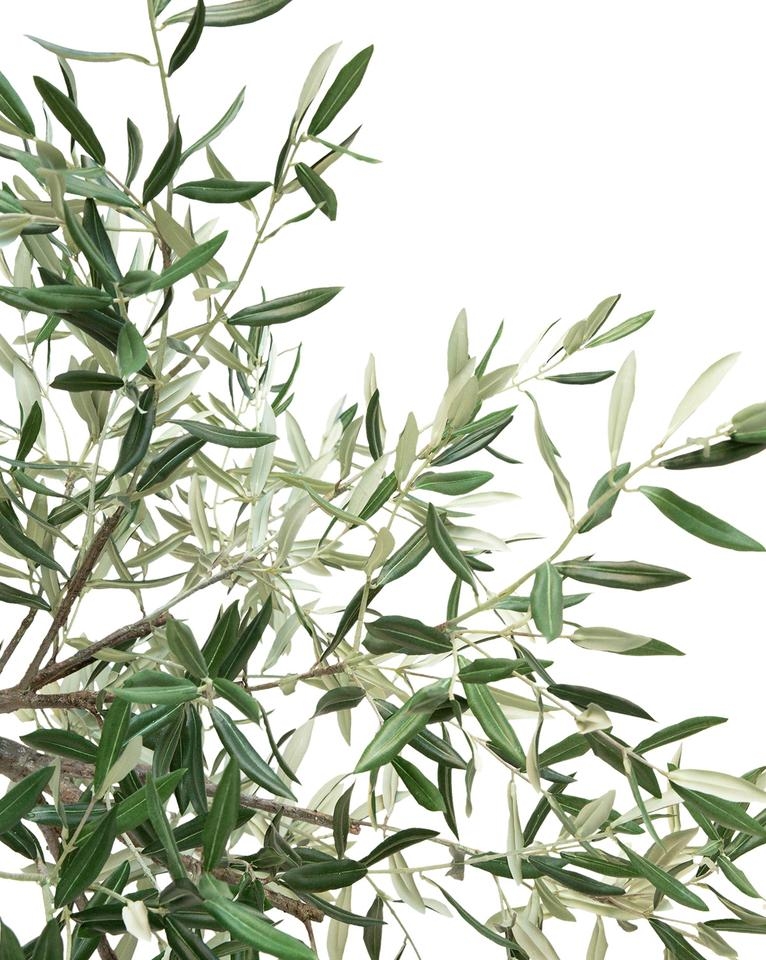 FAUX POTTED OLIVE TREE, 69" - Image 2