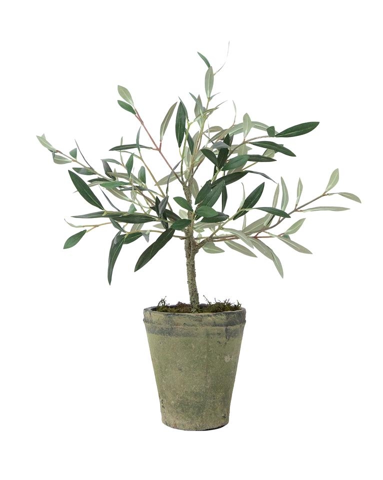 FAUX POTTED CHARLESTON OLIVE TREE - Image 0