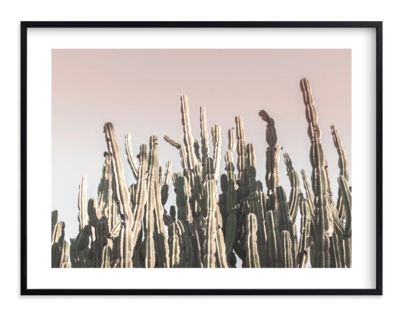 Summer Cactus Limited Edition Fine Art Print - Image 0
