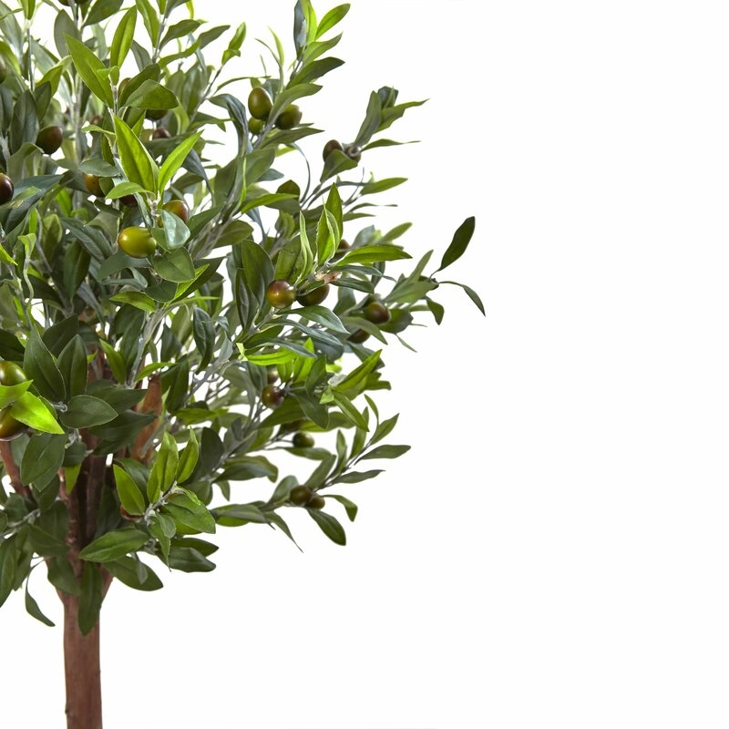 Olive Tree in Planter - Image 2
