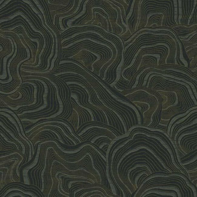 Geodes Removable Wallpaper, Black, Double Roll - Image 0