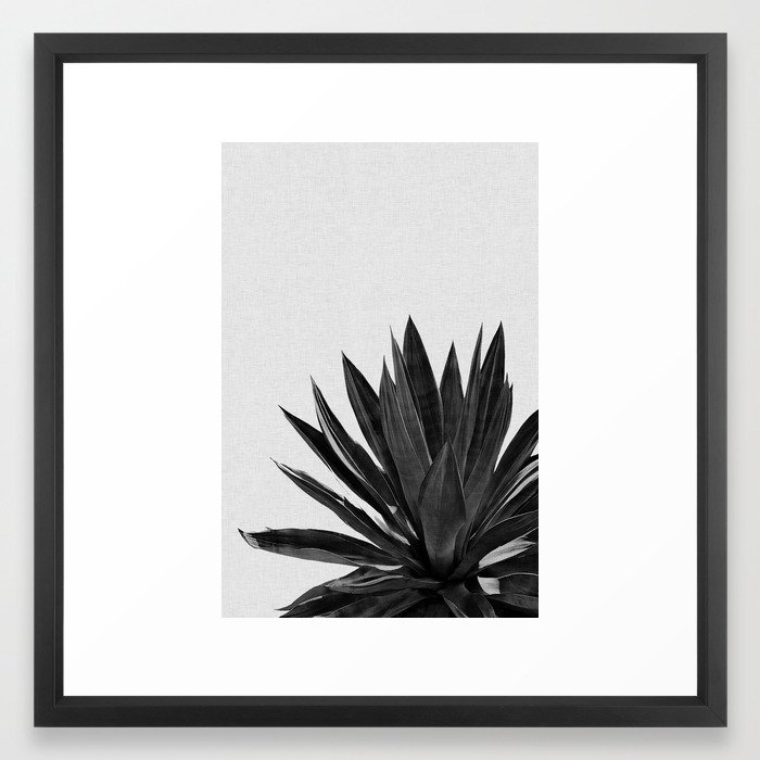 Agave Cactus Black & White Framed Art Print - Image 0