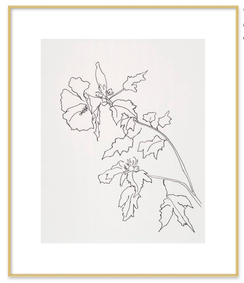 Rose of Sharon Flower, Gold Metal Frame, 20" x 24" - Image 0