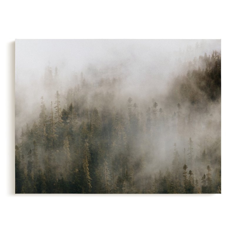 pacific north fog, 30" x 40" canvas - Image 0
