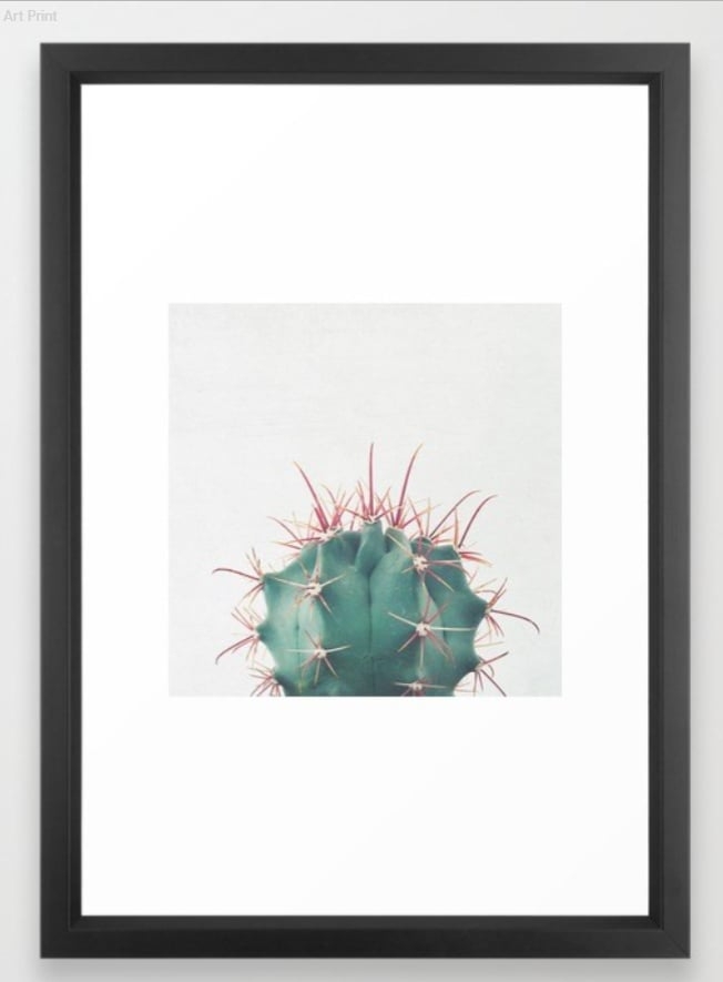 Ferocactus Framed Art Print - Image 0