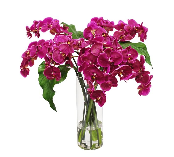 Faux Phalaenopsis Orchid in Slim Cylinder Vase, Fuchsia - Image 0