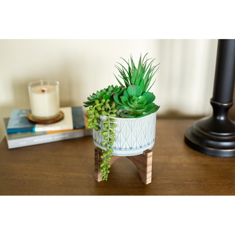 Agave Succulent in Planter - Image 3