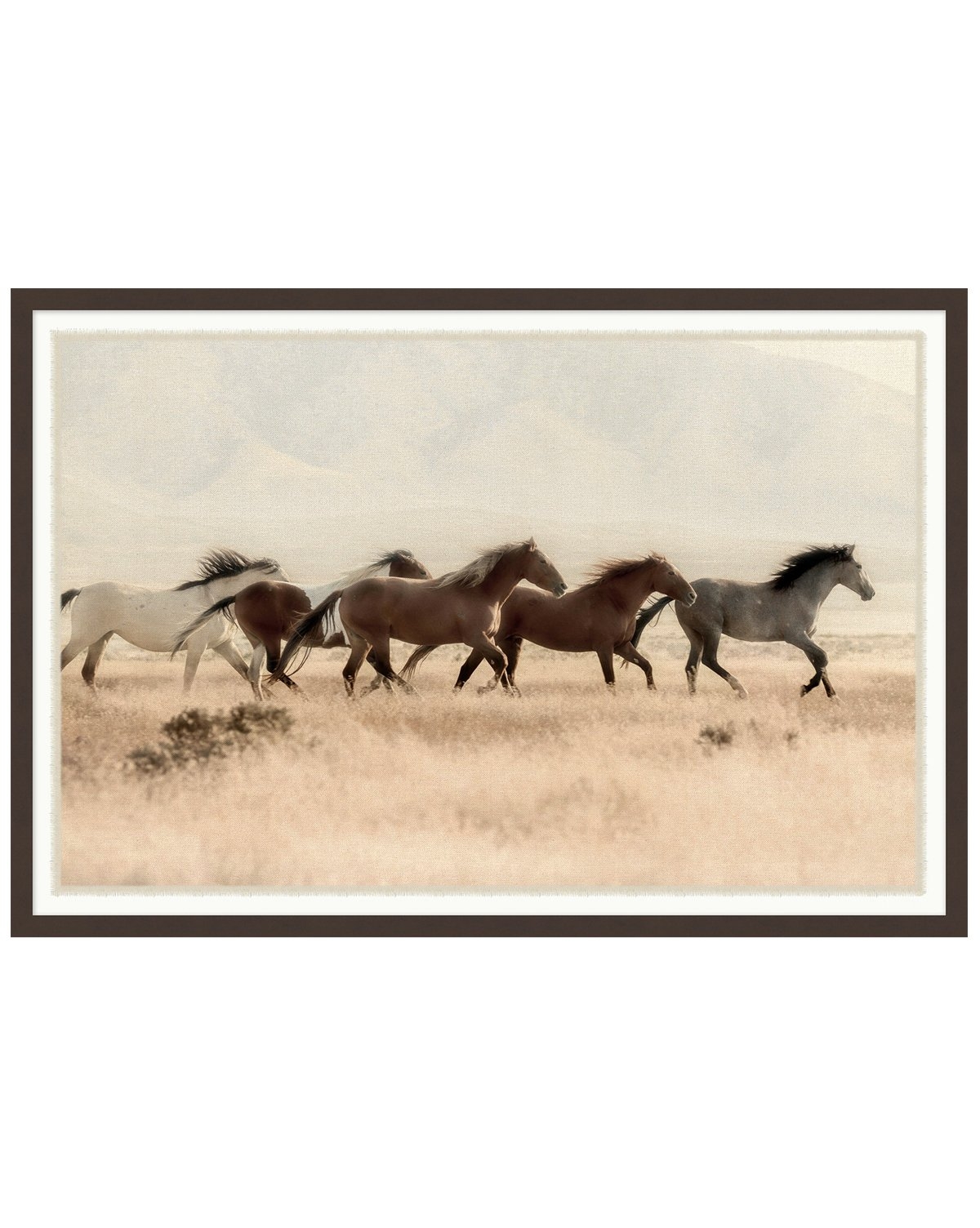 WILD HORSES Framed Art - Image 0