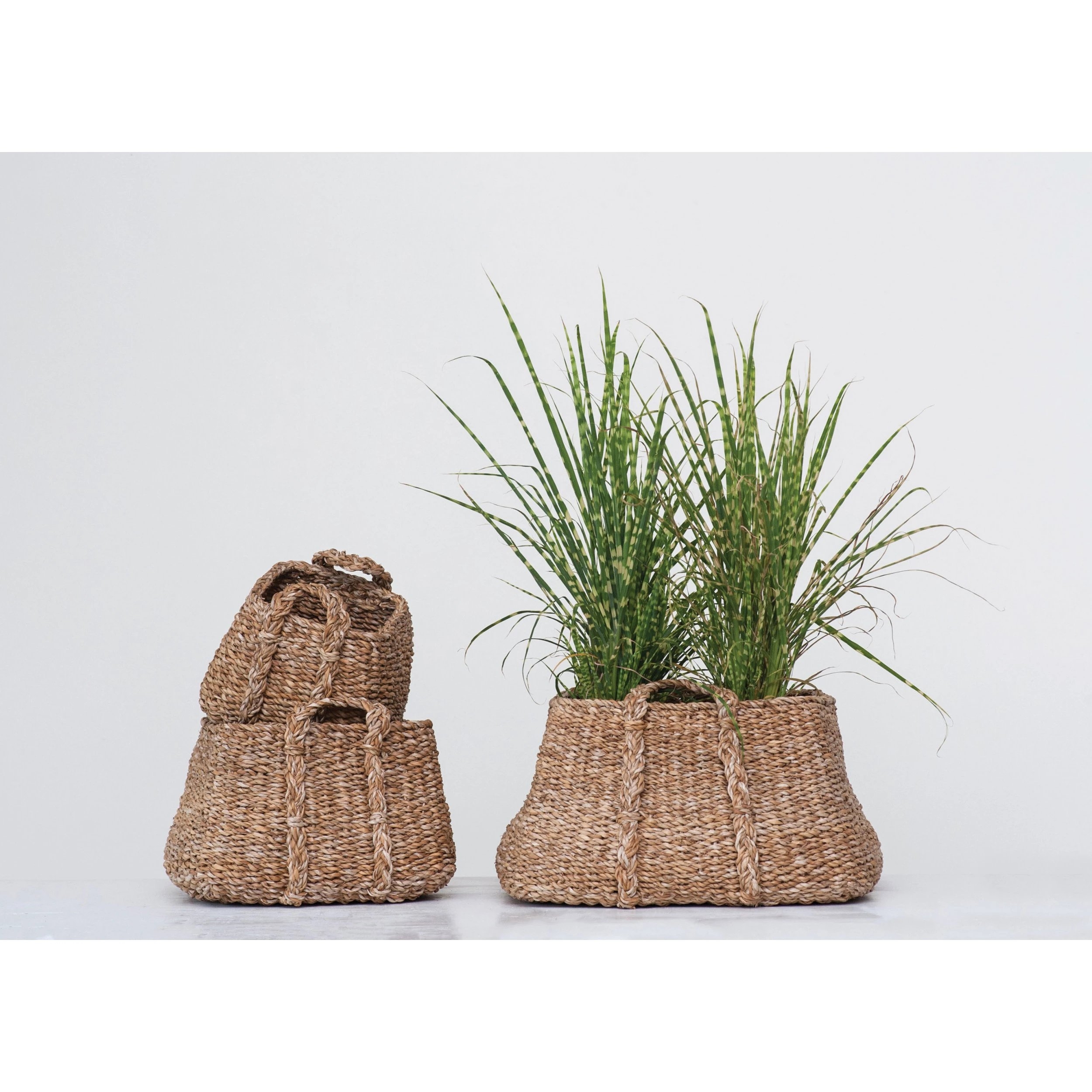 Brown Natural Seagrass Baskets with Handles (Set of 3 Sizes) - Image 1