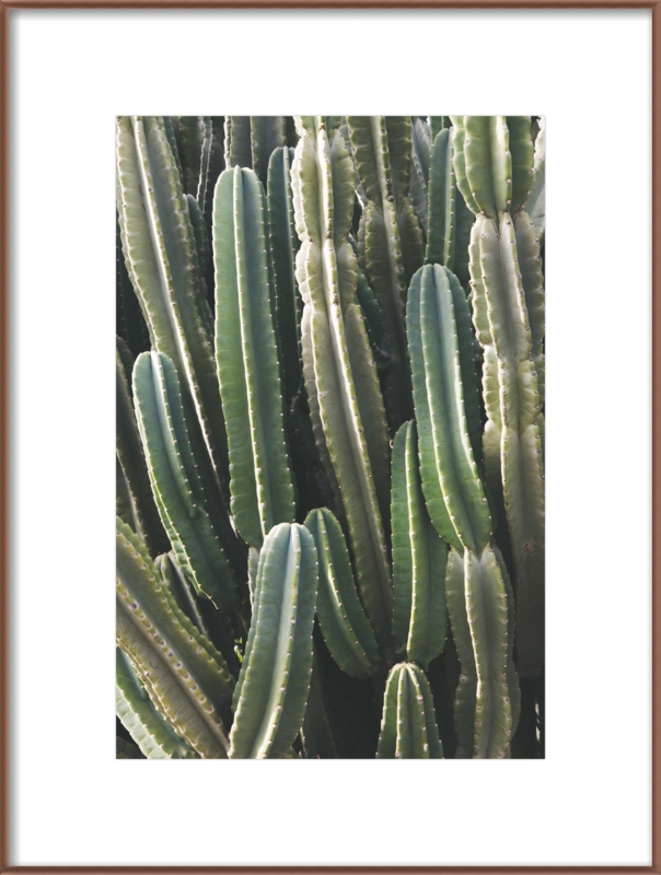 Southwest Cactus by Catherine McDonald for Artfully Walls - Image 0