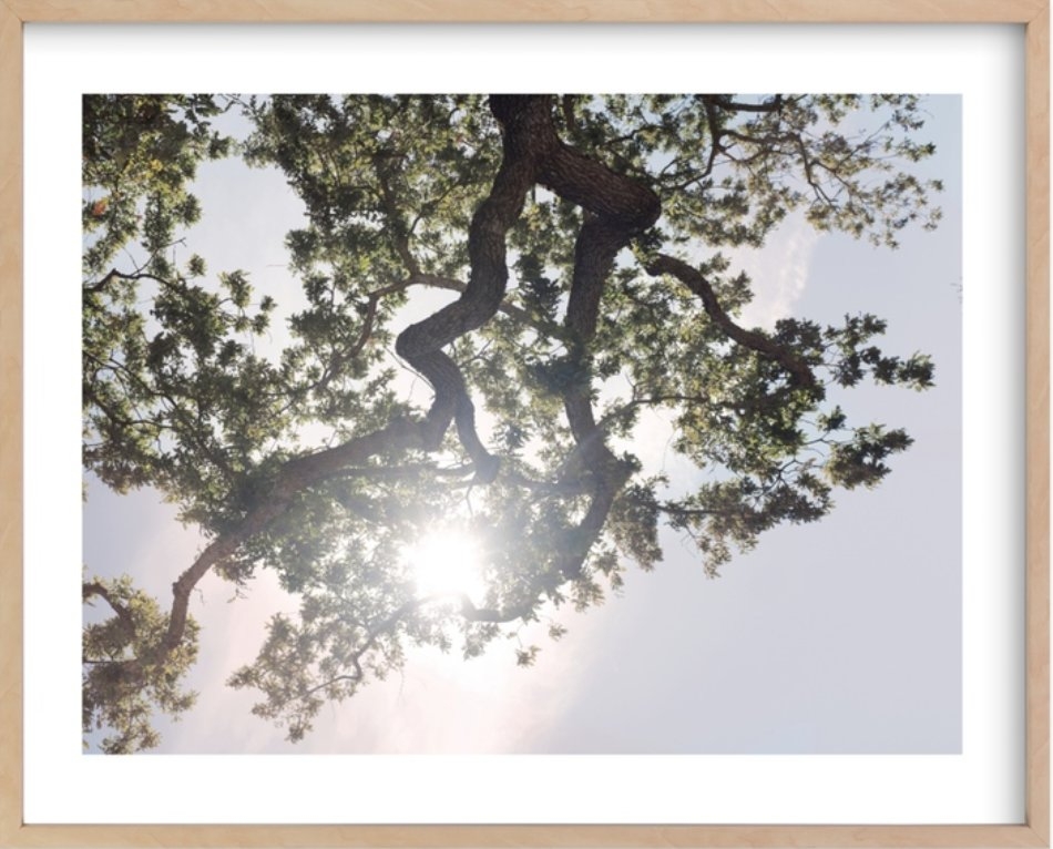 Elegant Oak Tree Art - Image 0