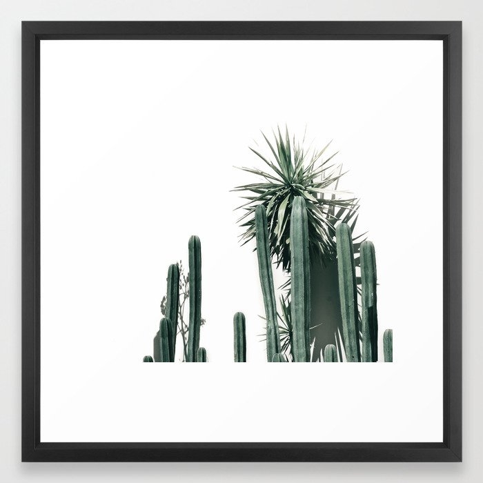 Desert Botanicals Framed Art Print - Image 0