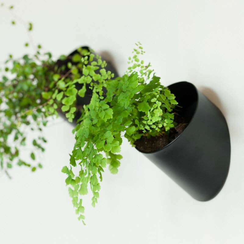 Gregor Pocket Modular Organizer Hanging Iron Wall Planter - Image 0