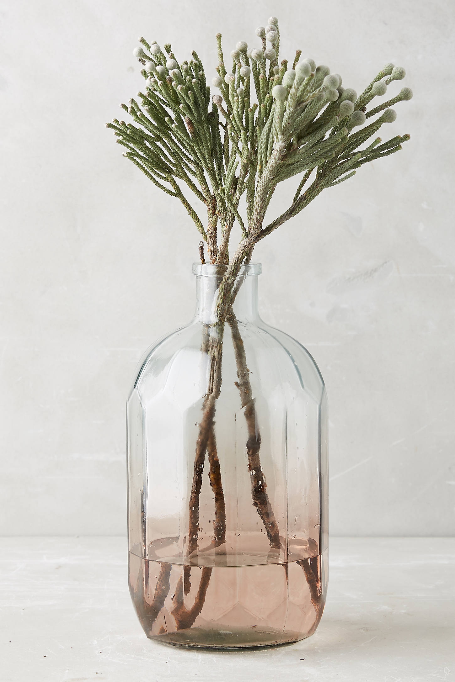 Gradient Vase - Image 0