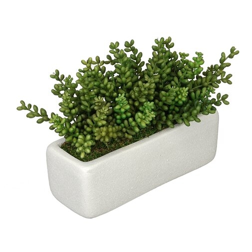 House of Silk Flowers Inc. Artificial Sedum Plant in Planter in White - Image 1