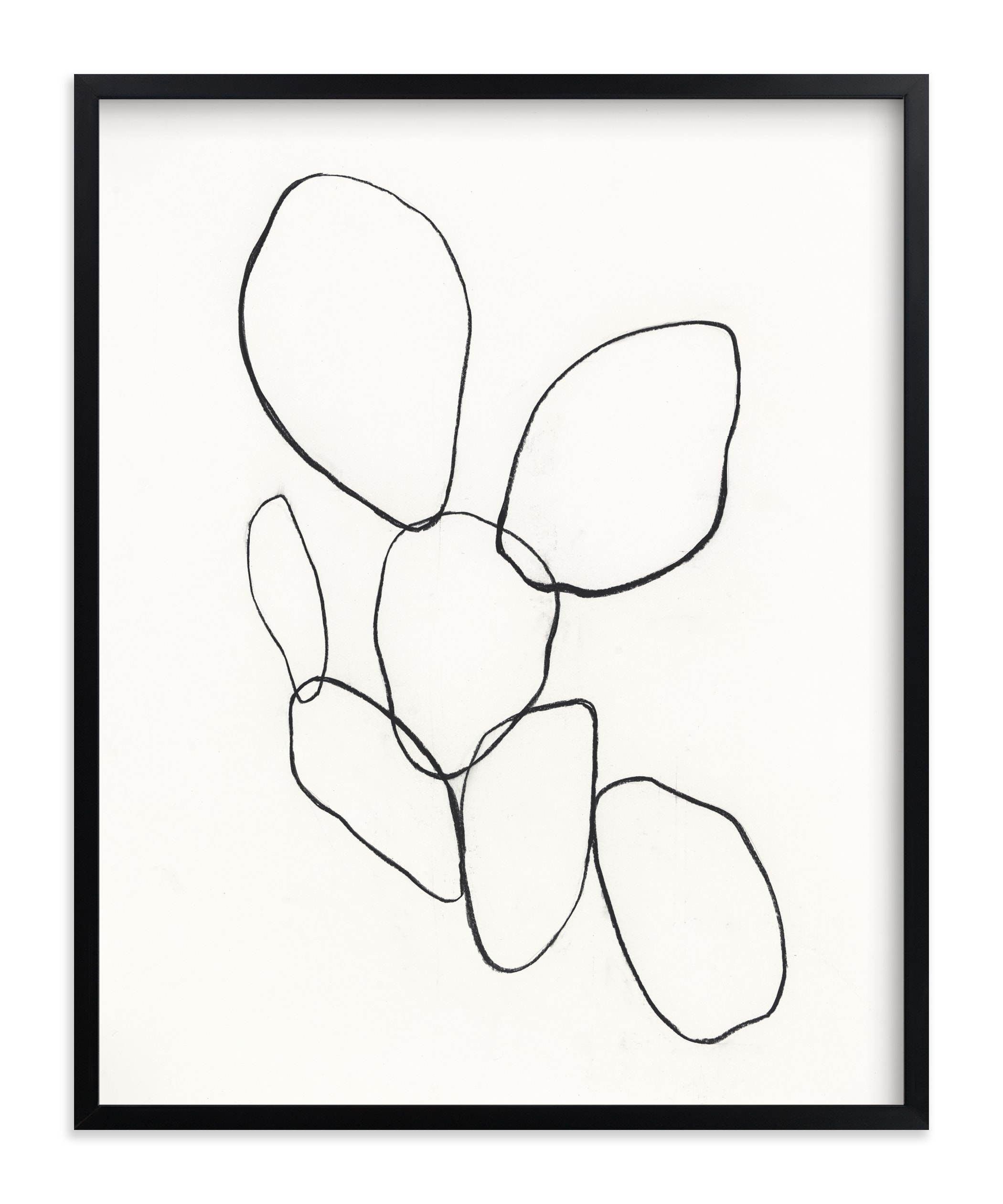 Cactus Line Drawing  - 16" x 20" - Rich Black Wood Frame - Image 0