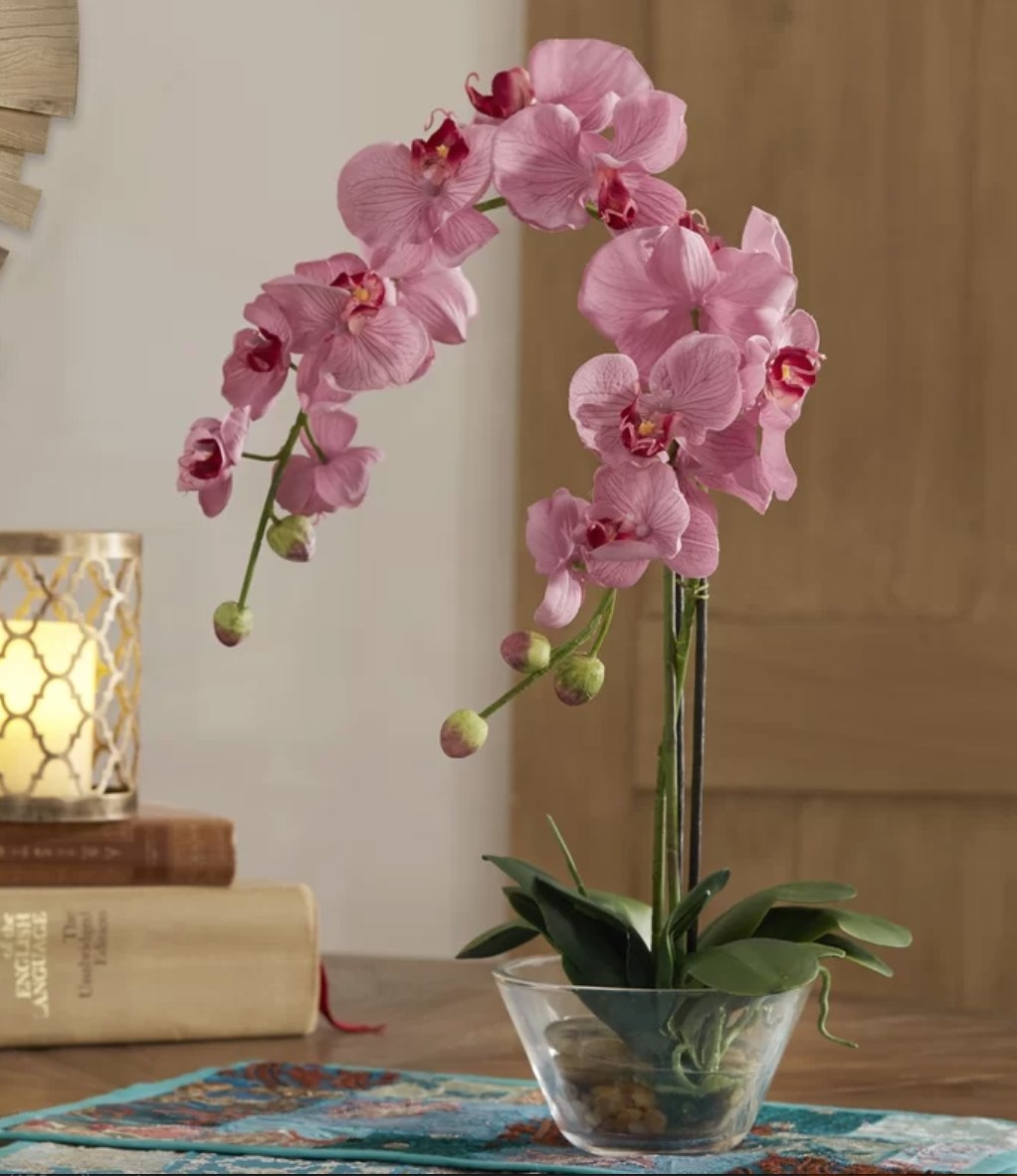 Orchid Floral Arrangement in Glass Vase - Image 1