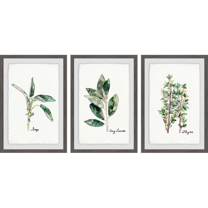 'Herb Trio Triptych' 3 Piece Framed Watercolor Painting Print Set - Image 0