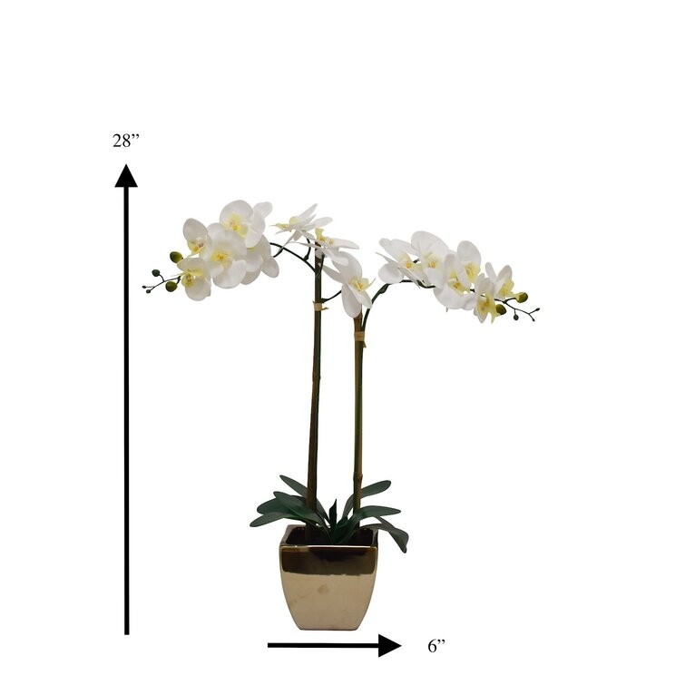 Orchids Floral Arrangements in Pot - Image 1