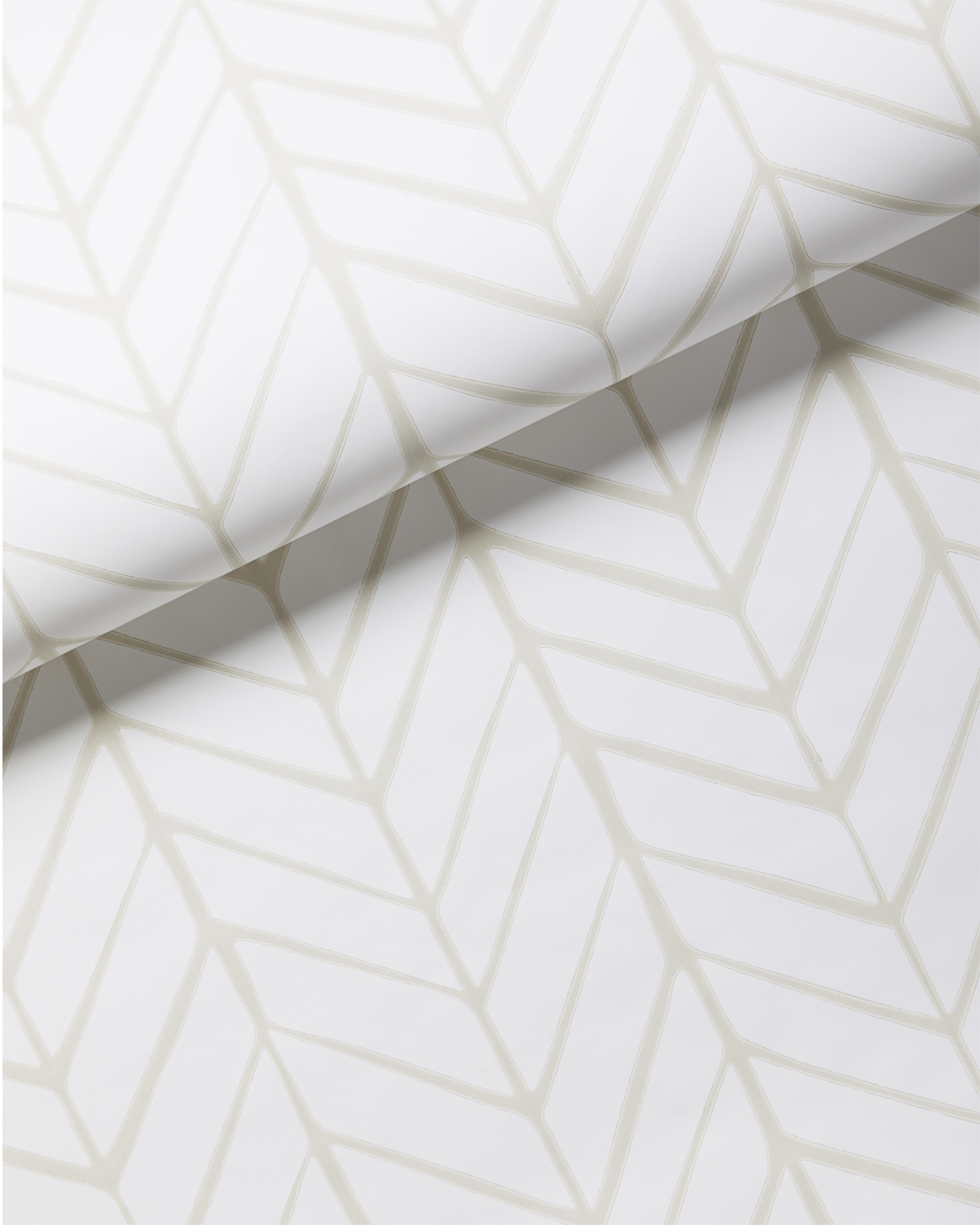Feather Wallpaper - Bone - Image 0