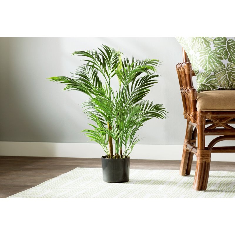 Areca Palm Tree Floor Plant in Pot - Image 3